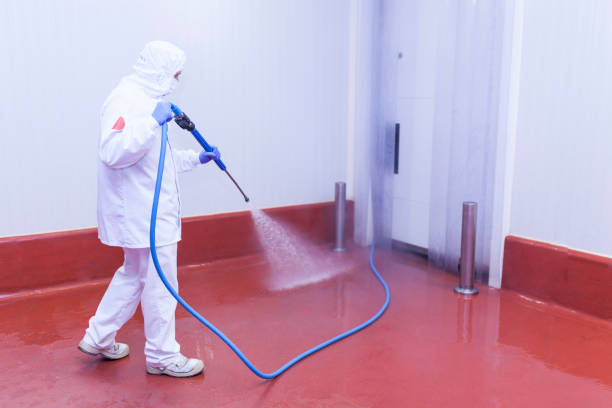 Playground Equipment Cleaning in Herald, CA